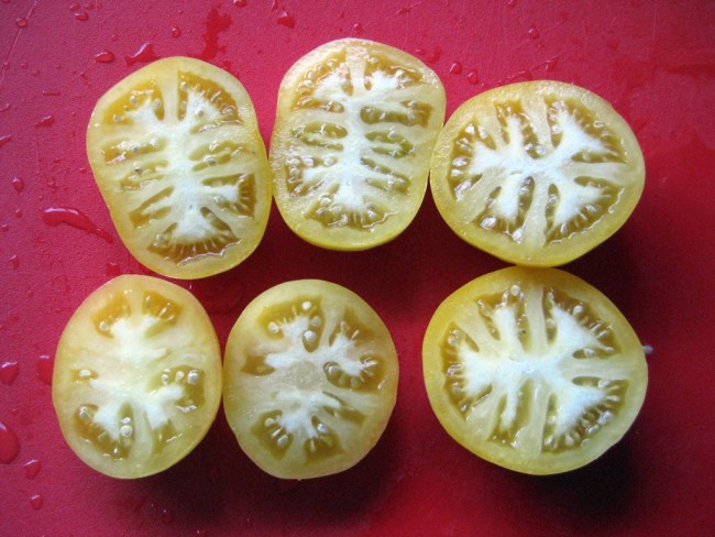 Tomato Garden Peach Seeds Garden Hoard Hand Harvested Tomato Garden Peach Seeds Garden Hoard Hand Harvested
