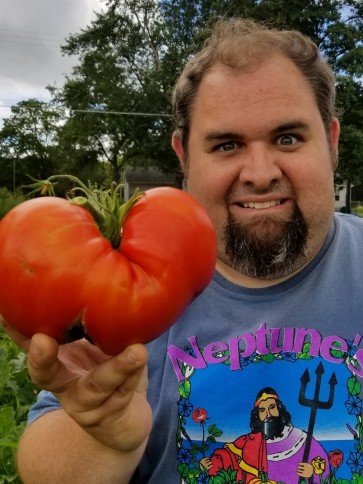 Tomato 'Watermelon'