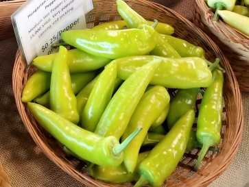 Hot Banana Pepper 'Hungarian Yellow Wax'