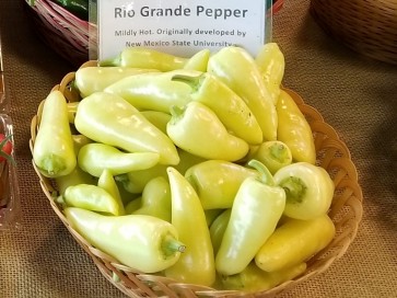 Hot Pepper ‘Rio Grande’