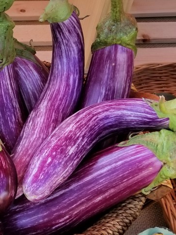 Eggplant ‘Tsakoniki’ 