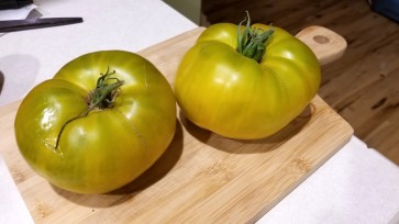 Tomato 'Malakhitovaya Shkatulka'