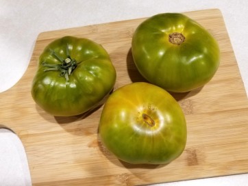 Tomato 'Moldovan Green' Plant (4" Pot, single)
