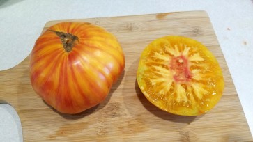 Tomato 'Copia' 