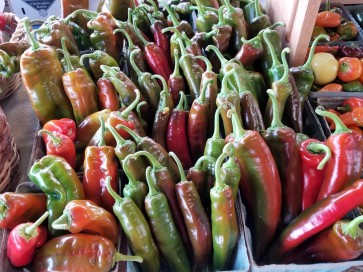 Sweet Pepper 'Corno di Toro Rosso’ 