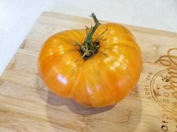 Tomato 'Orange Jazz' 