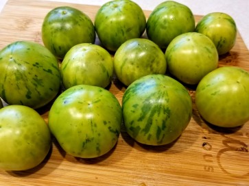 Tomato 'Green Vernissage' 