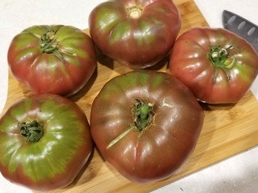 Tomato 'Black Elephant' 