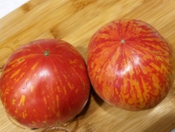 Tomato 'Roughwood Golden Tiger' 