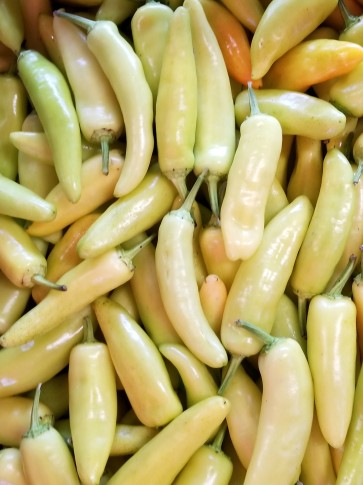 Banana Pepper 'Sweet Banana' Seeds (Certified Organic)