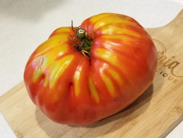 Tomato 'Uncle Johnny's Giant' 