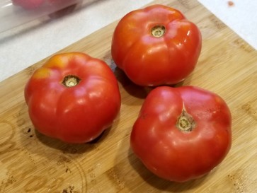 Tomato 'Super Sioux' 