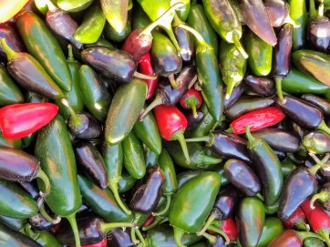 Crushed Jalapeno Peppers Harvested on our Farm, Certified Organic