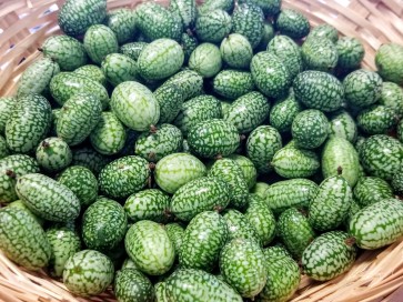 Mouse Melons AKA Cucamelons