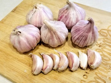 Certified Organic Bogatyr Culinary Garlic Harvested on our Farm - 4 oz. Bag