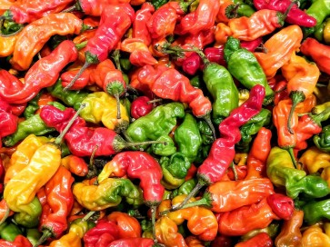 Crushed Peter Peppers Harvested on our Farm, Certified Organic