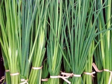 Chives