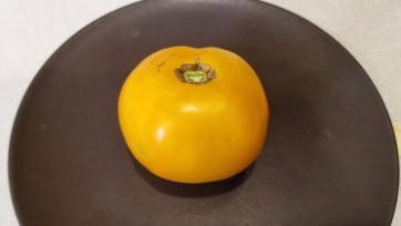 Tomato 'Barnyard'