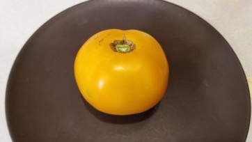 Tomato 'Barnyard' Seeds (Certified Organic)