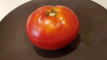 Tomato 'Moskvich'