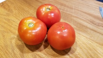 Tomato 'Beaverlodge Slicer' 