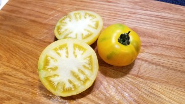 Tomato 'Lemon Boy F2' 