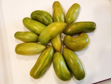 Tomato 'Green Sausage' Seeds (Certified Organic)