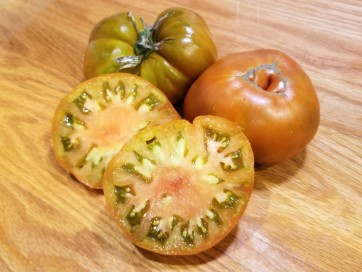 Tomato 'Thorburn's Terra Cotta' Plant