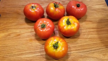 Tomato 'Double Rich' 