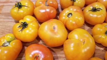 Tomato 'Rumi Banjan'