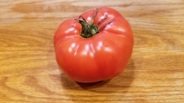 Tomato 'Italian Beefsteak' 
