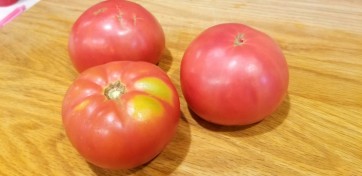 Tomato 'Missouri Pink Love Apple’ Seeds (Certified Organic)
