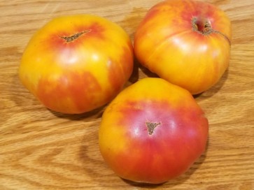 Tomato 'Big Rainbow' Plant (4" Pot, single)