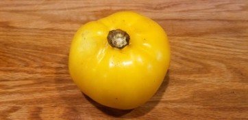 Tomato 'Manyel' 