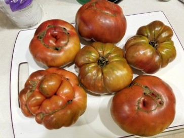 Tomato 'Purple Sicilian Saucer' Seeds (Certified Organic)