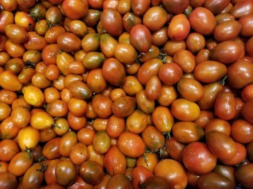 Tomato 'Black Plum'