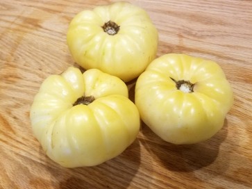 Tomato 'White Queen'