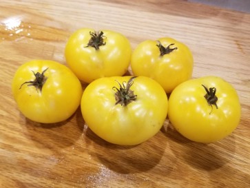 Tomato 'White Bush' 