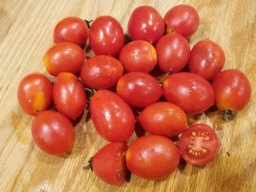 Tomato 'Principe Borghese'