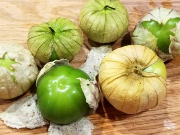 Tomatillo 'Grande Rio Verde' 