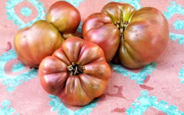 Tomato 'BKX' AKA 'Black Krim Potato Leaf' 