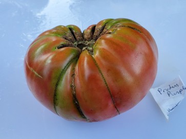 Tomato 'Pruden's Purple'