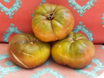 Tomato 'Black Brandywine' 