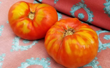 Tomato 'Andrew Rahart's Jumbo Red'