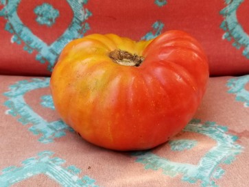 Tomato 'Mr. Brown Pink' 