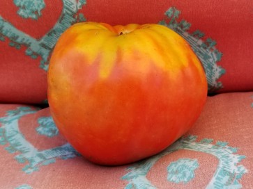 Tomato 'Reif Red Heart' 
