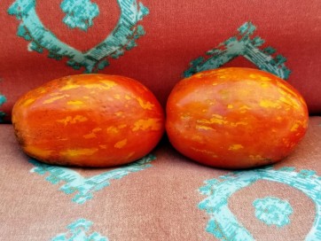 Tomato 'Plum Tigris'