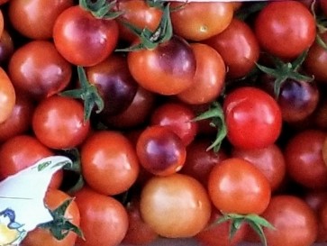 Tomato 'Blue Berries' 