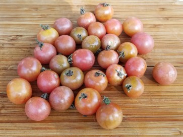 Tomato 'Napa Rose Blush'