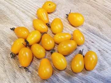 Tomato 'RB Yellow Grape' 